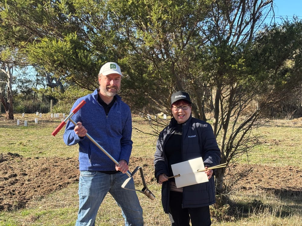 Planting for National Tree Day post image