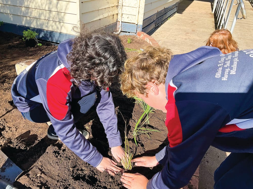 Tucking into the garden post image