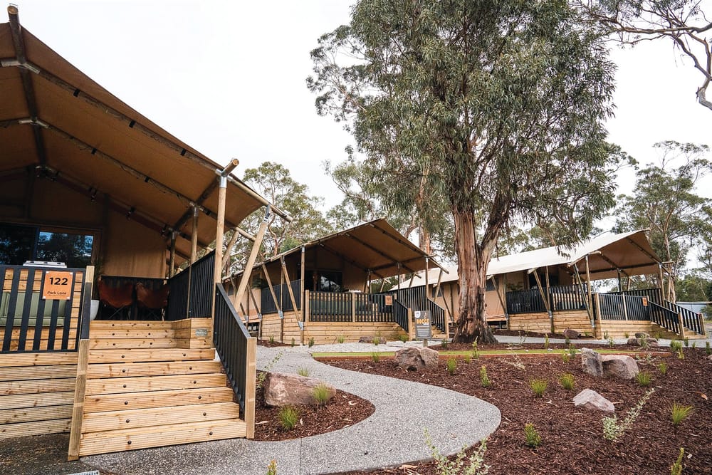 Surf and stay partnership post image