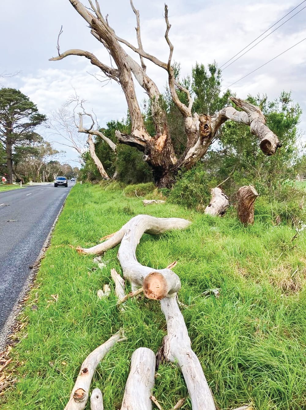 Ventnor Road inspections post image