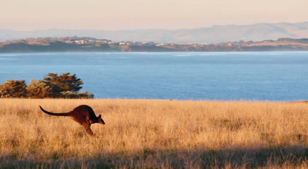 Council quizzed on new Environment Fund post image