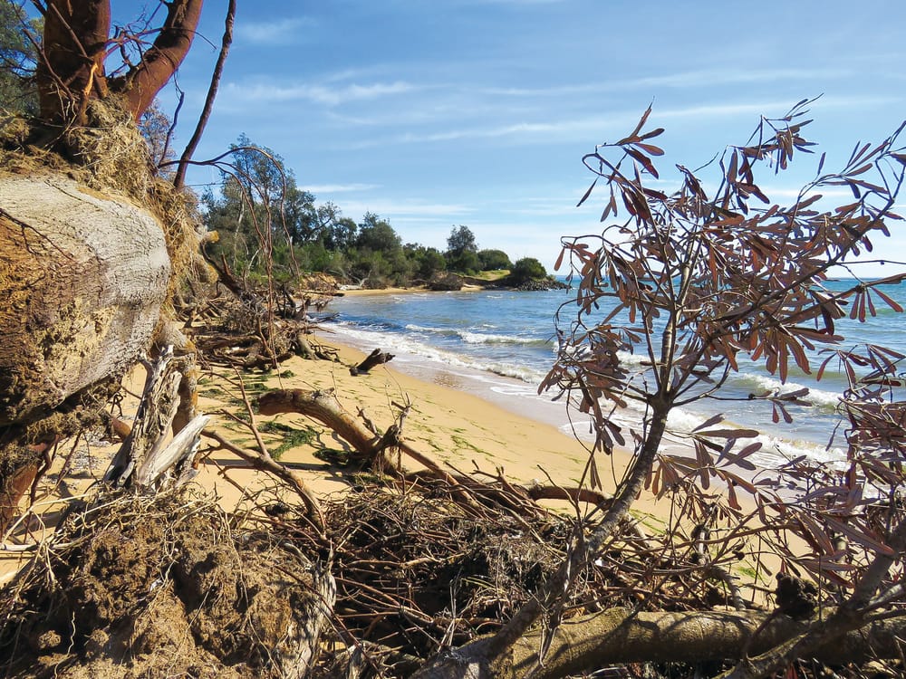 Silverleaves funding protest planned post image