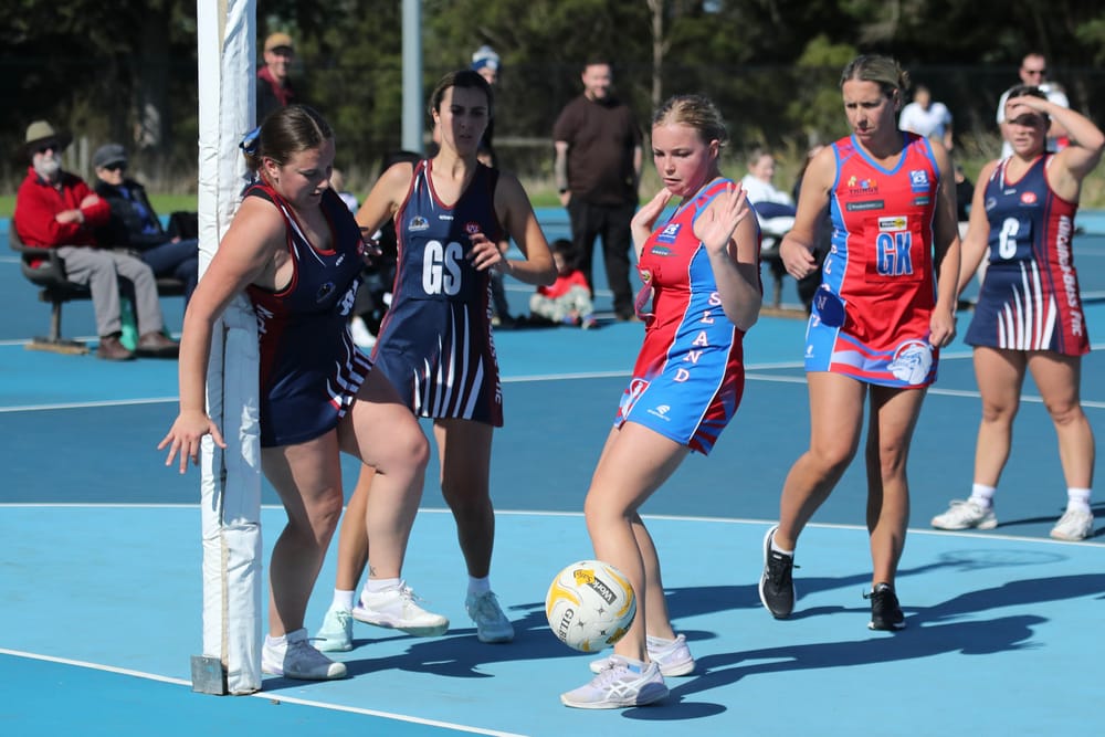 D Grade fight hard post image