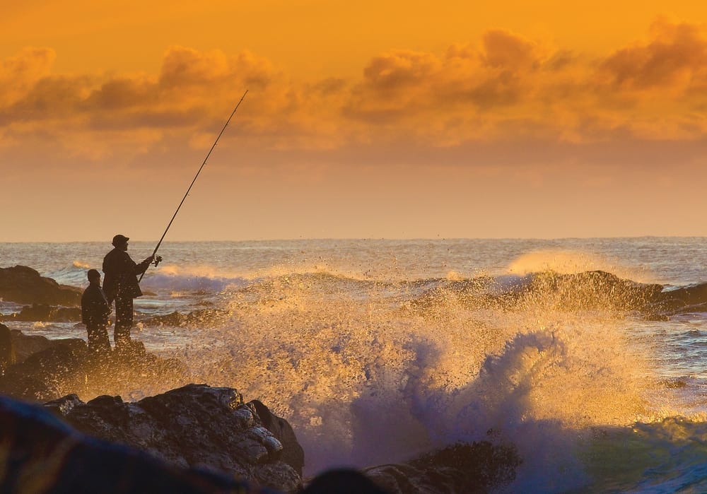 Body of woman found off San Remo post image