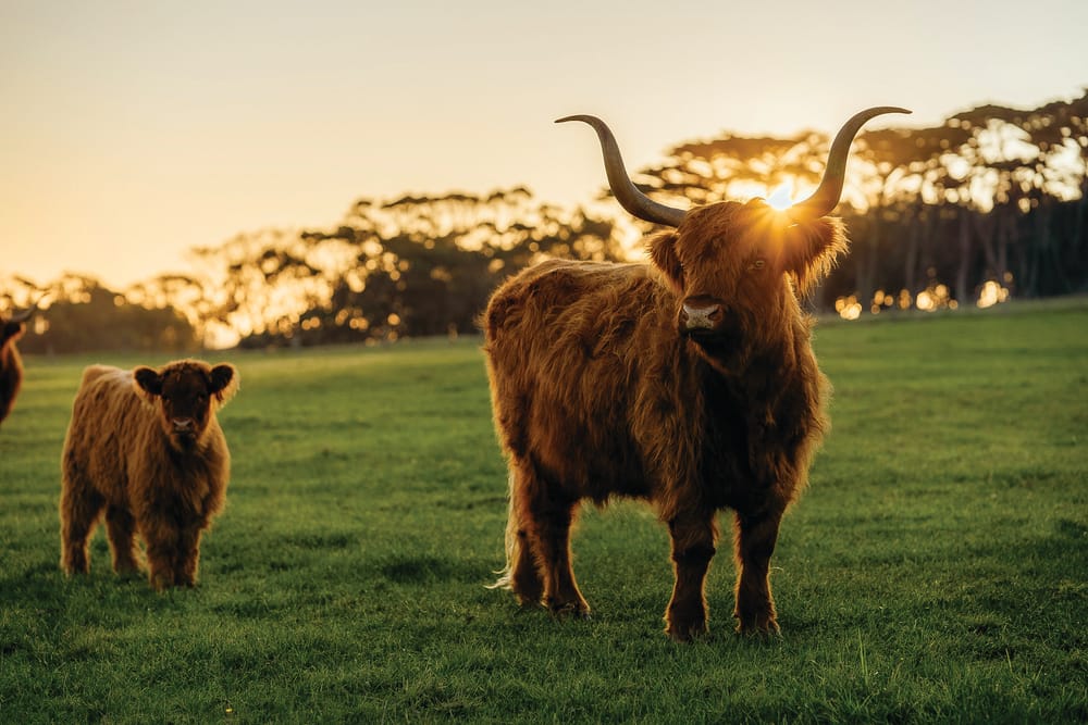 Summer at the Nature Parks post image