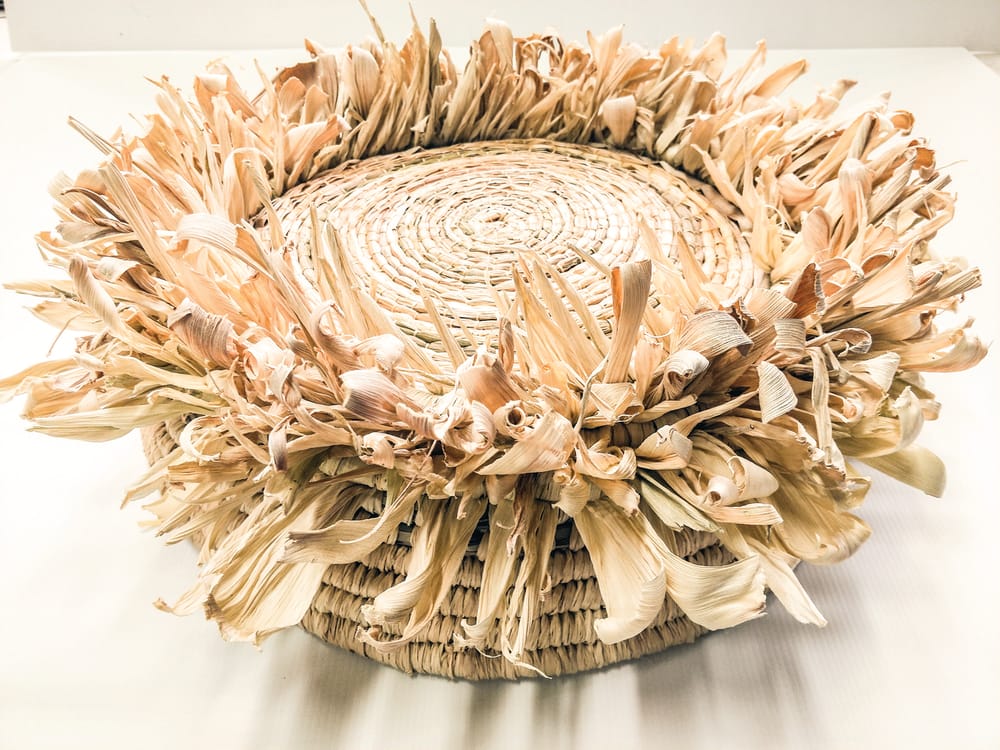 PICES now in Focus post image