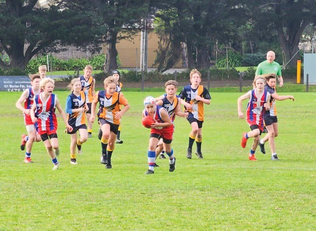 Big week on the field for junior Dogs - U12 Blue post image