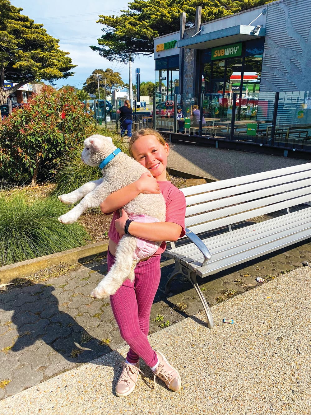 Lucky the lamb post image