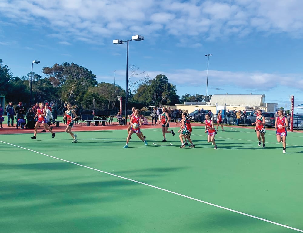 D Grade came out firing post image