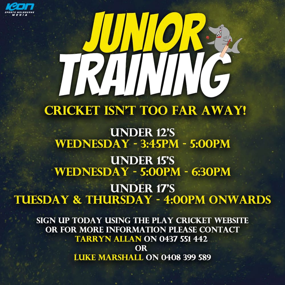 Junior cricket training post image