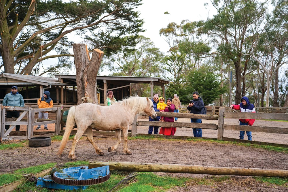 Bass Coast community invited to celebrate Phillip Island post image