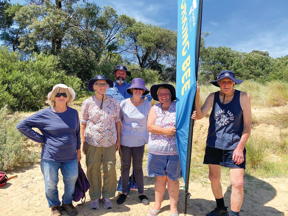 Caring for Cowes’ coast post image