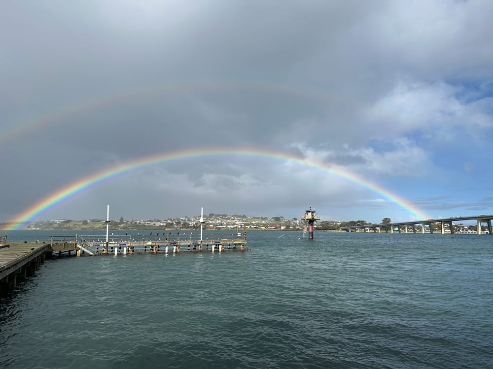 Anyone find the pot of gold? post image