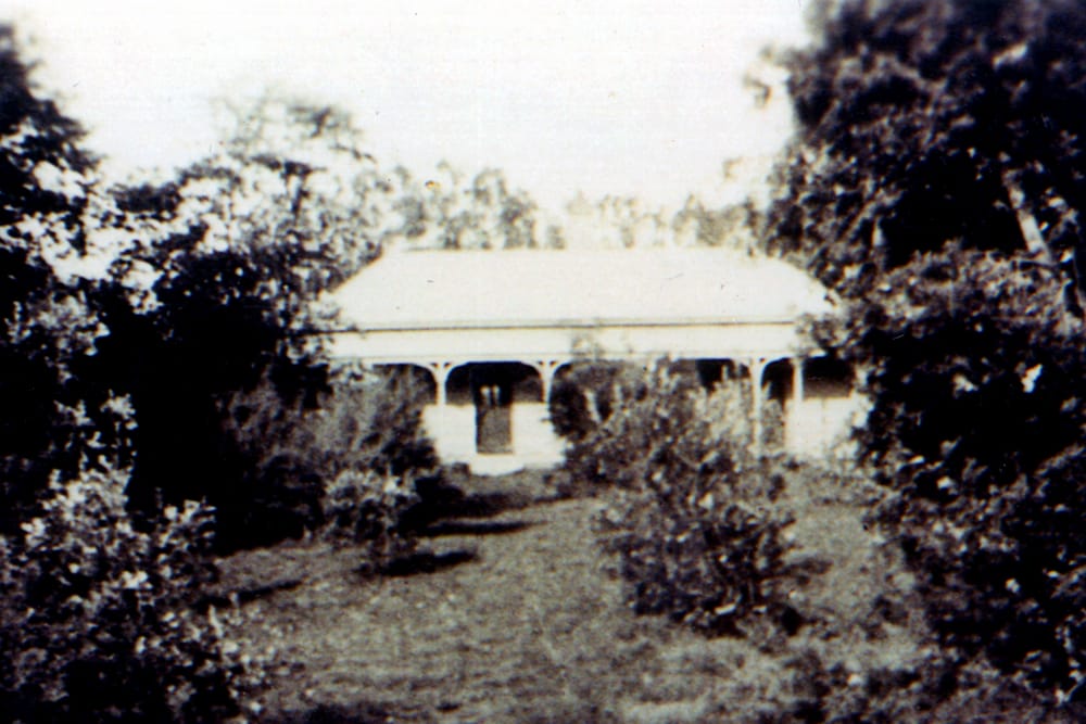 Charmandene post image