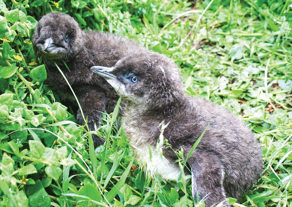 Know Your Nature Parks – Spring post image