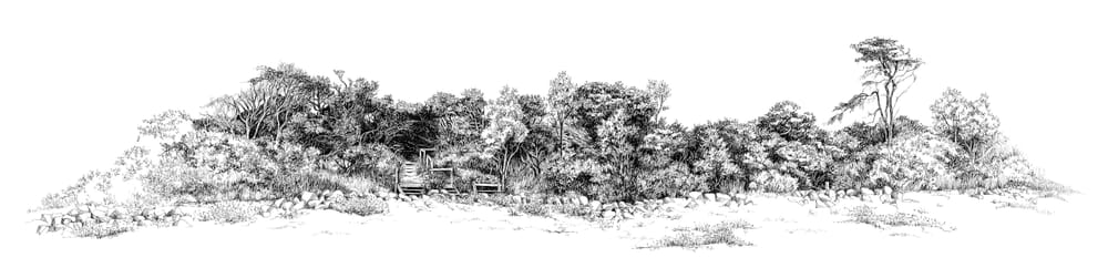 Island's shoreline on display post image