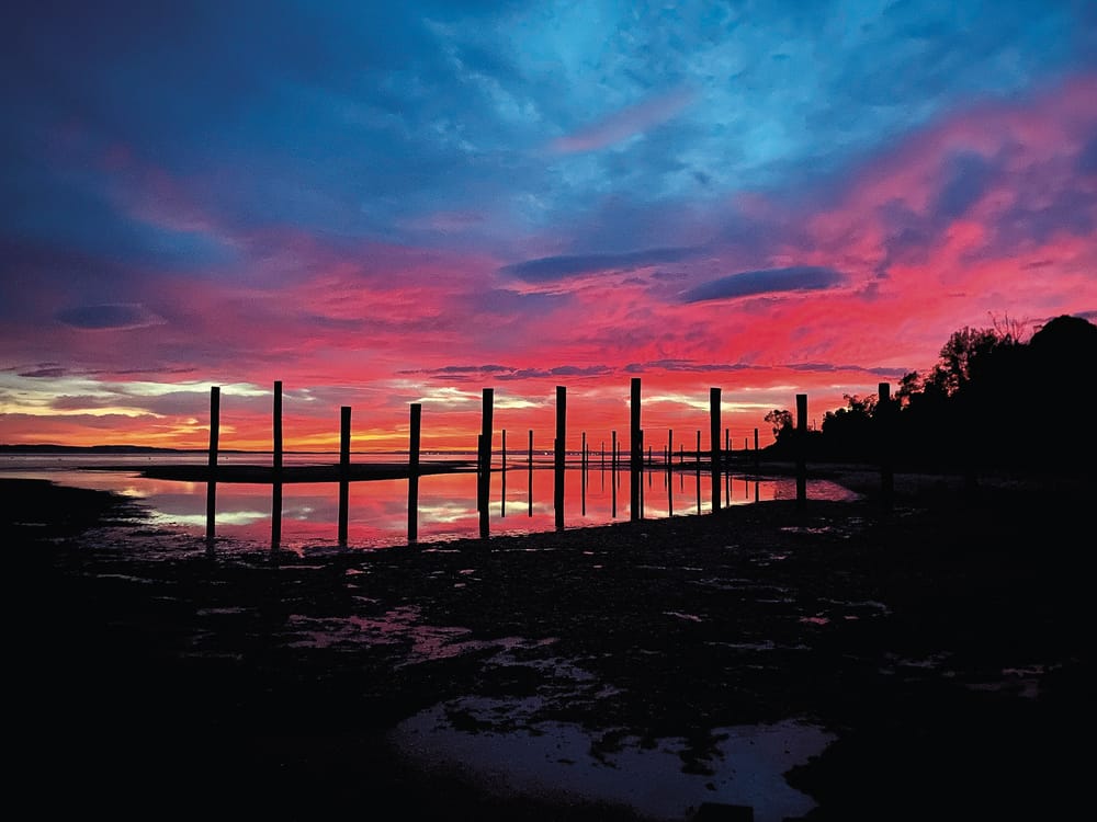 Not an excavator in sight post image