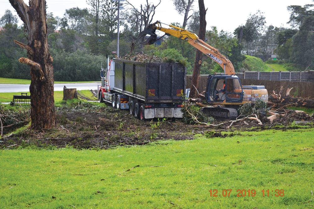 Knock on wood: more trees and more protection post image