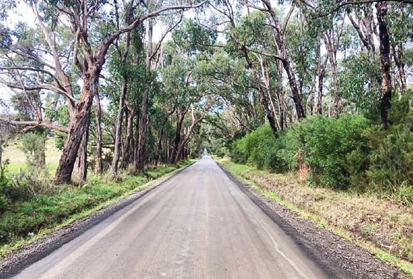 Road clearing request knocked back by council post image