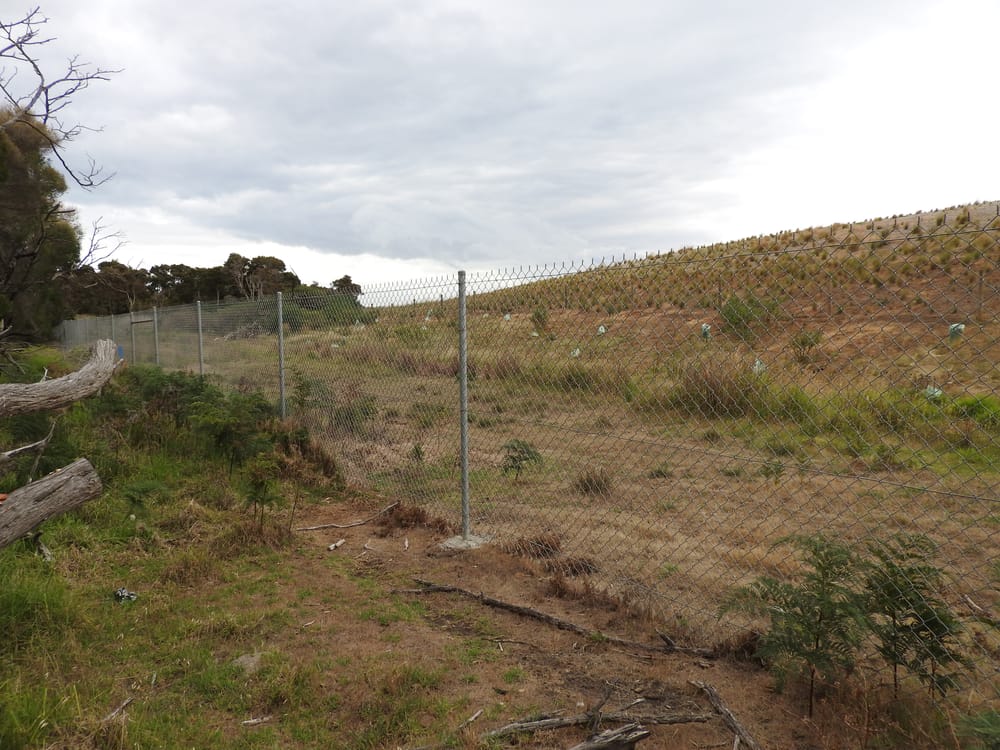 Is Gap Road a 45-hectare, million-dollar white elephant? post image