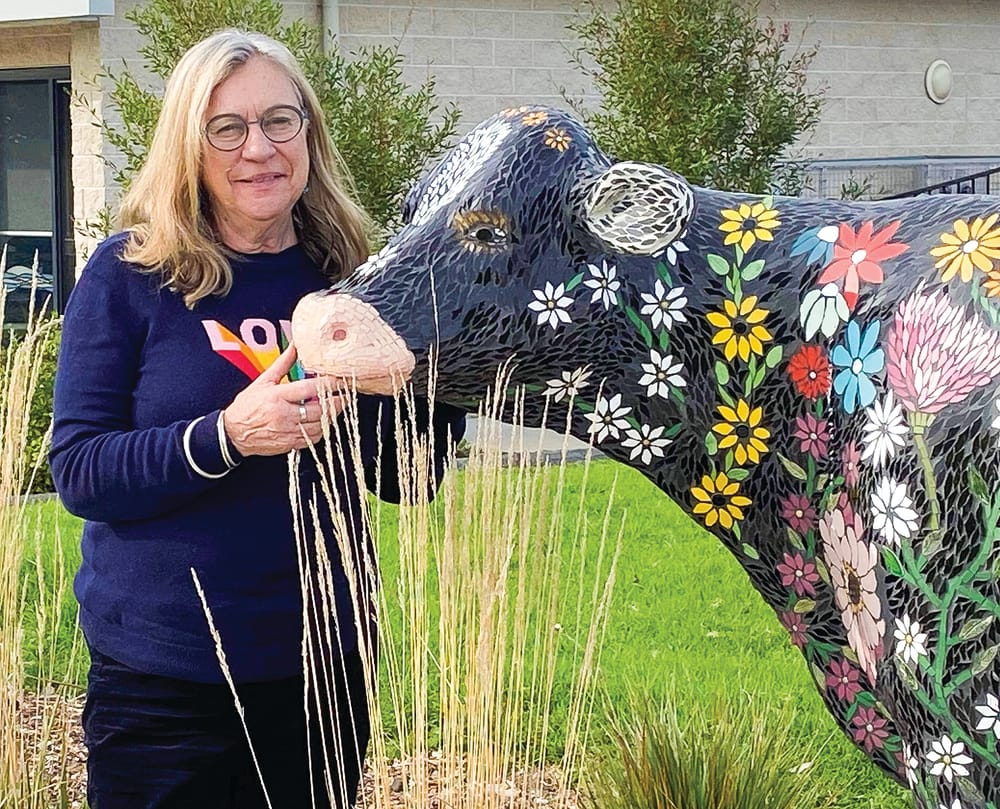 New cow in Cowes post image