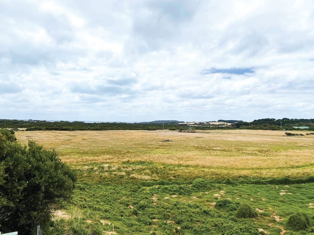 Van plan canned post image