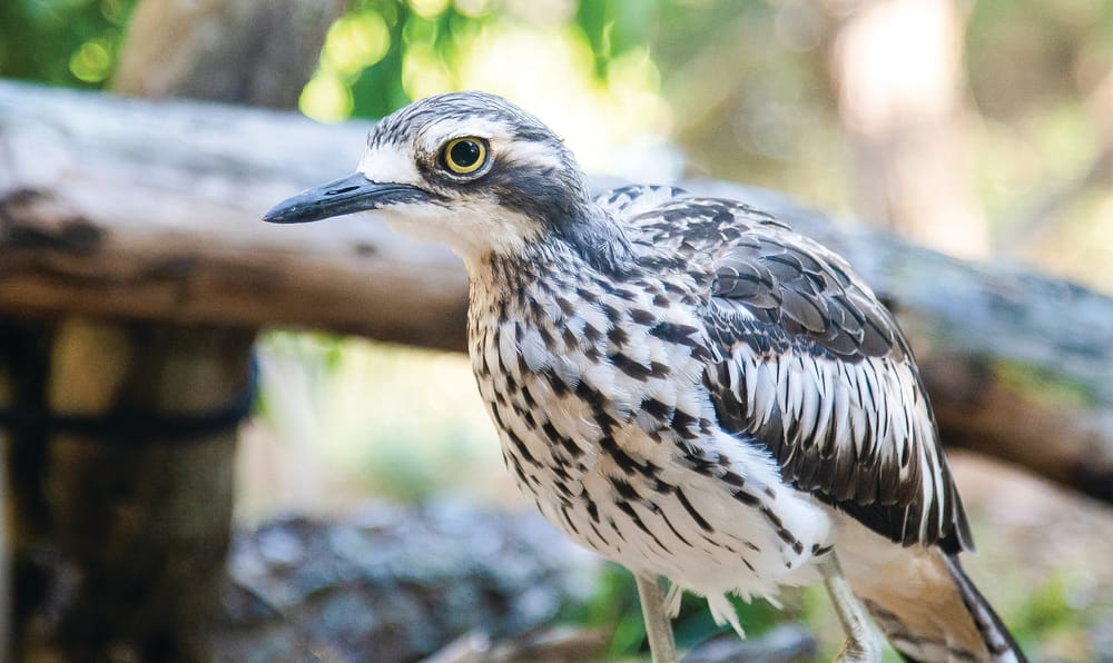 Board of Management Update - August 2024 post image