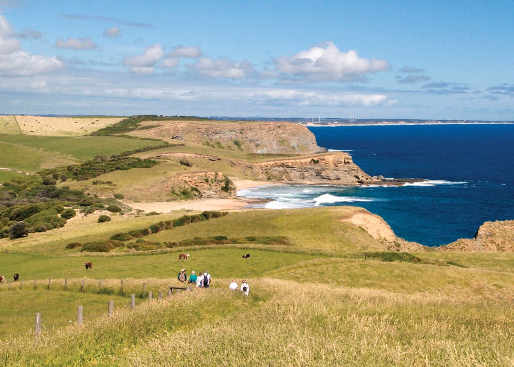 Details on new Yallock-Bulluk park revealed post image