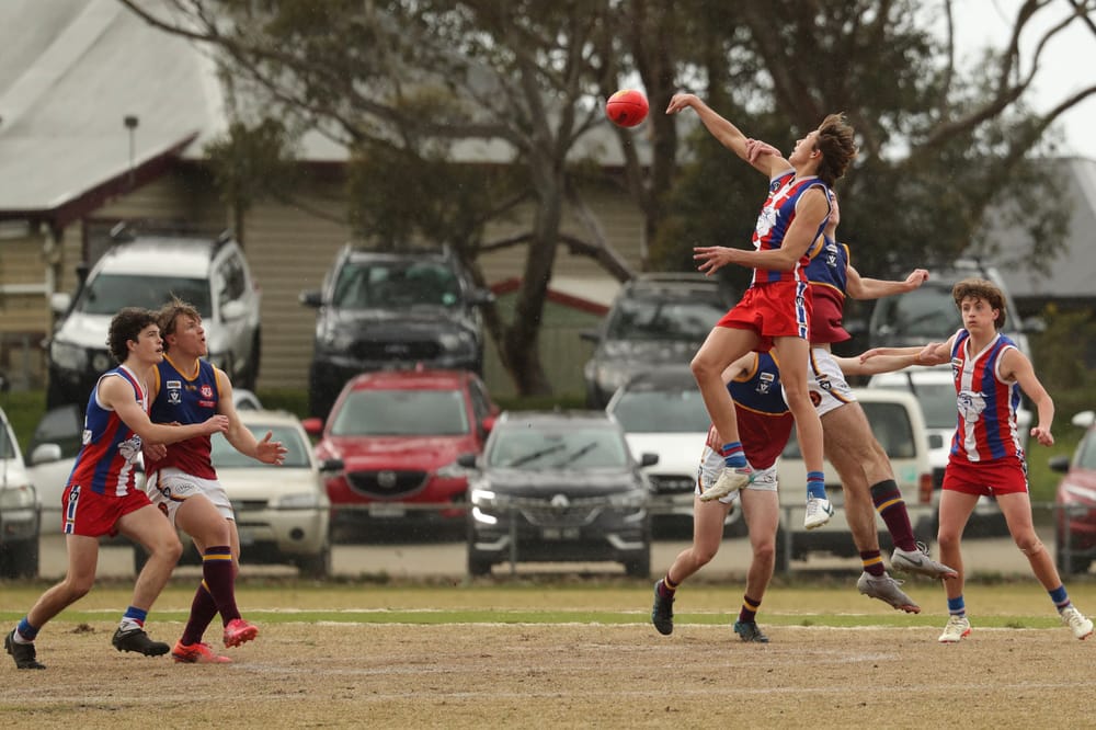 U18s work hard in semi finals post image