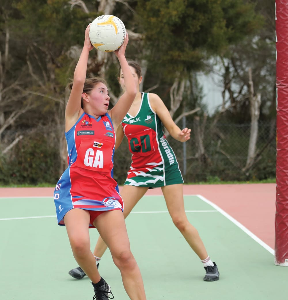 D grade netball results post image