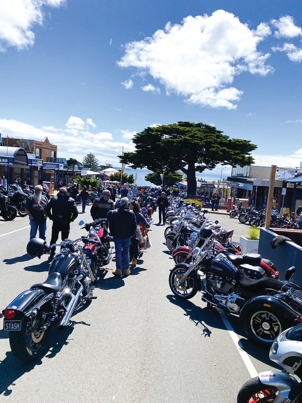 The Motorcycle Festival comes to town! post image