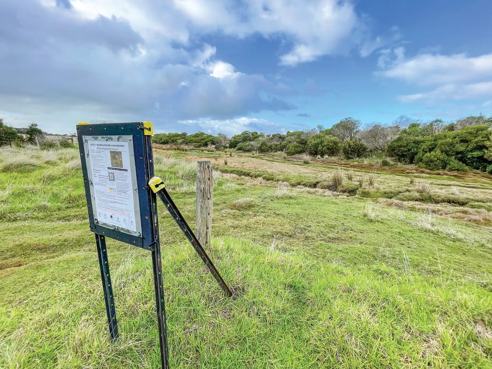 Kitty Miller resort plan set to be scuttled post image