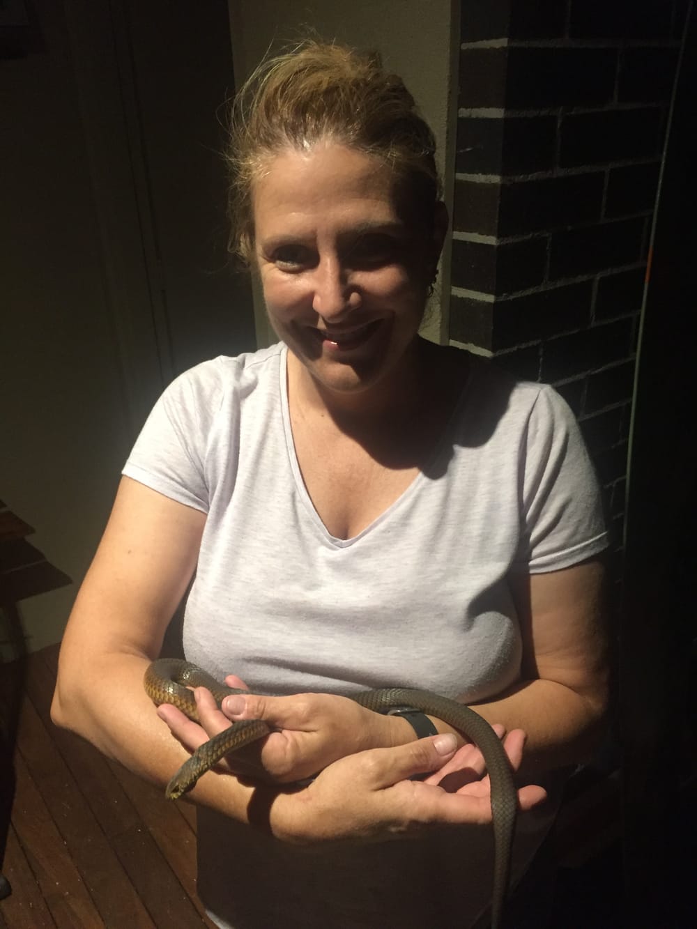 Increasing roadkill leads to state inquiry post image