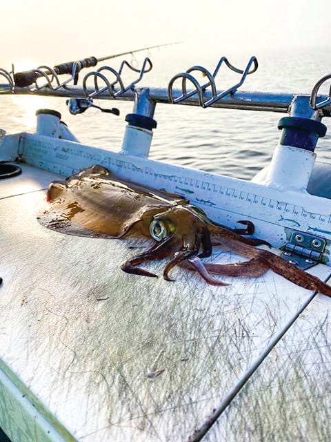 Around the Bay with Jim’s Bait & Tackle post image