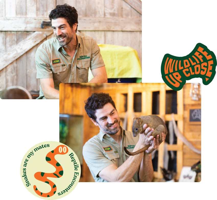 Who is new in the zoo? post image