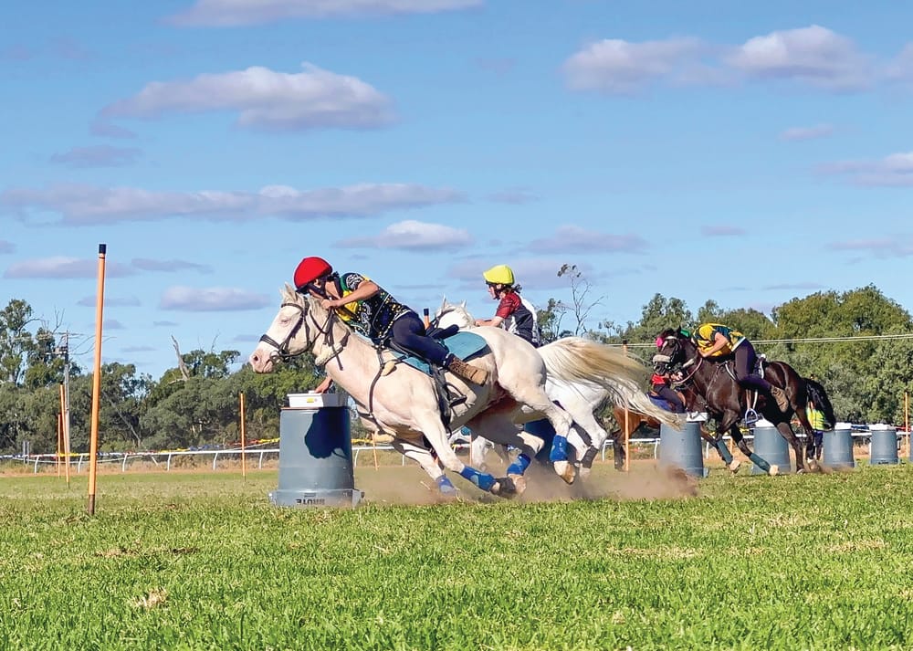 Two island champions post image