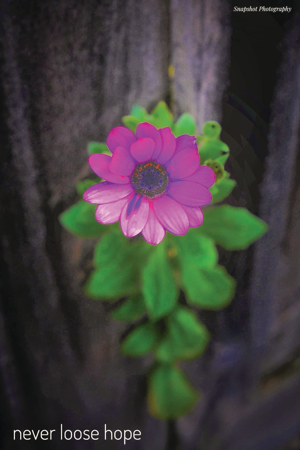 Give yourself a (news) break post image