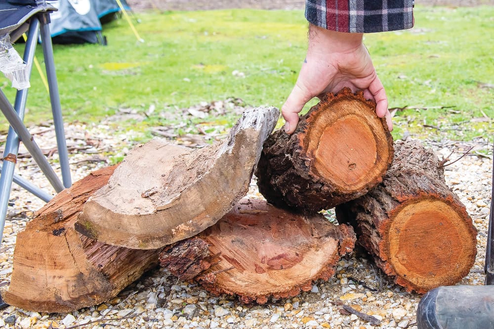 Firewood collection in state forests post image