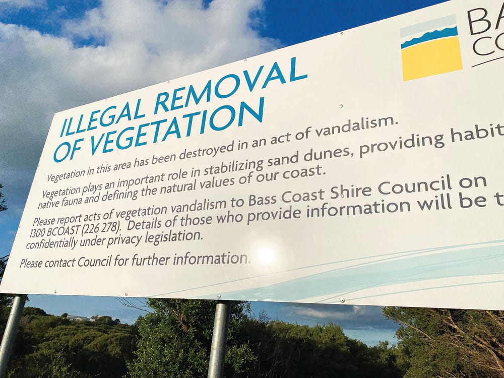 Ventnor illegal tree removal possible prosecution post image