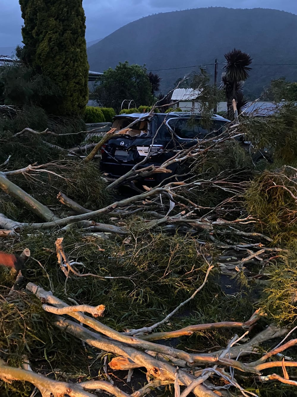 Damaging winds and falling trees prompt warning from VICSES post image
