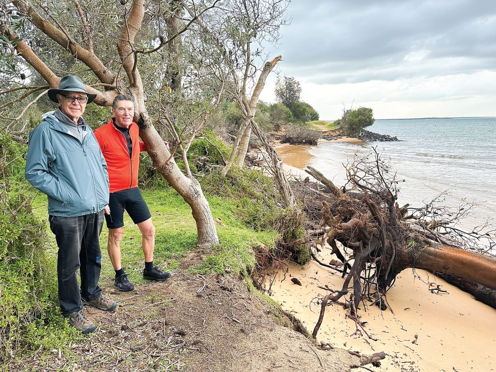 Silverleaves' erosion an "emergency situation": MP post image