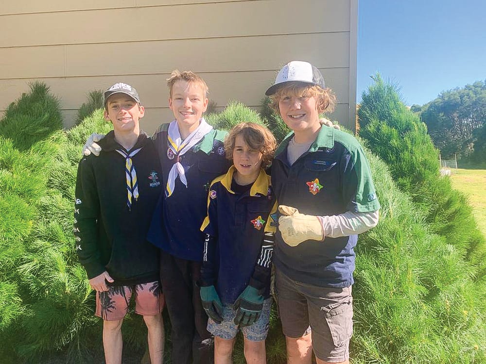 Scouts’ Christmas trees sell out post image