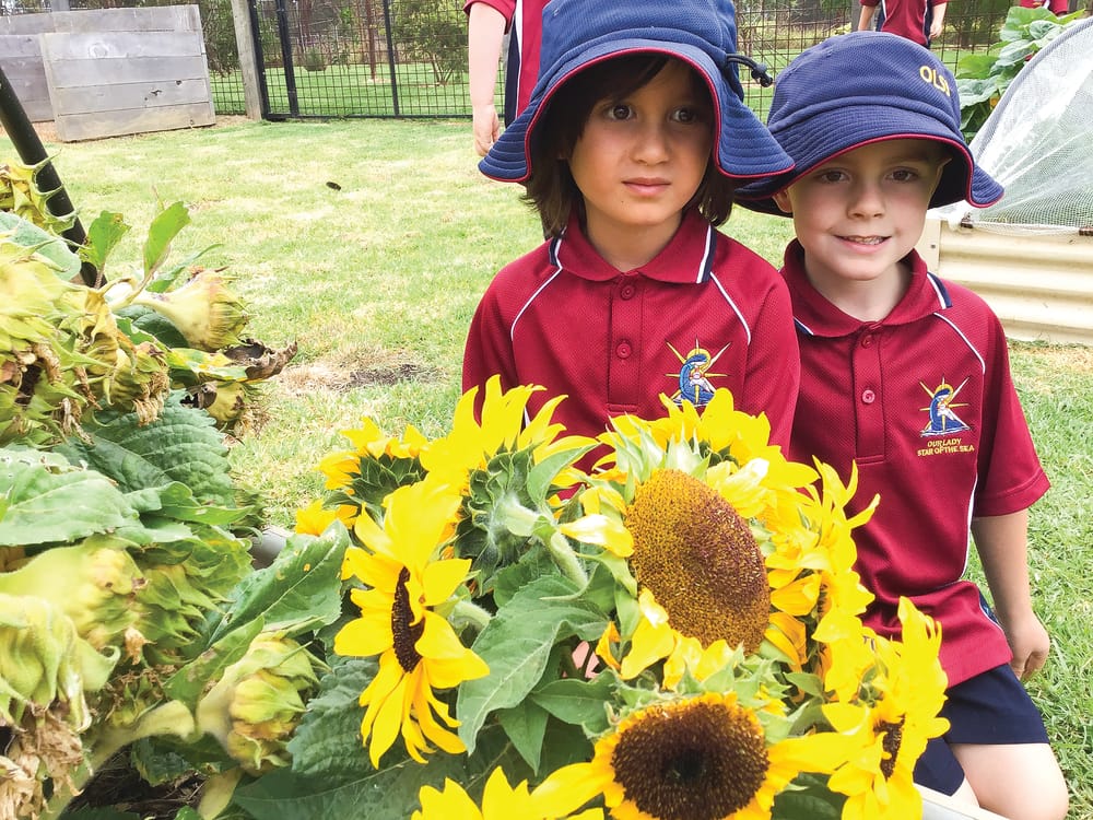 Bumper Crop at OLSS post image