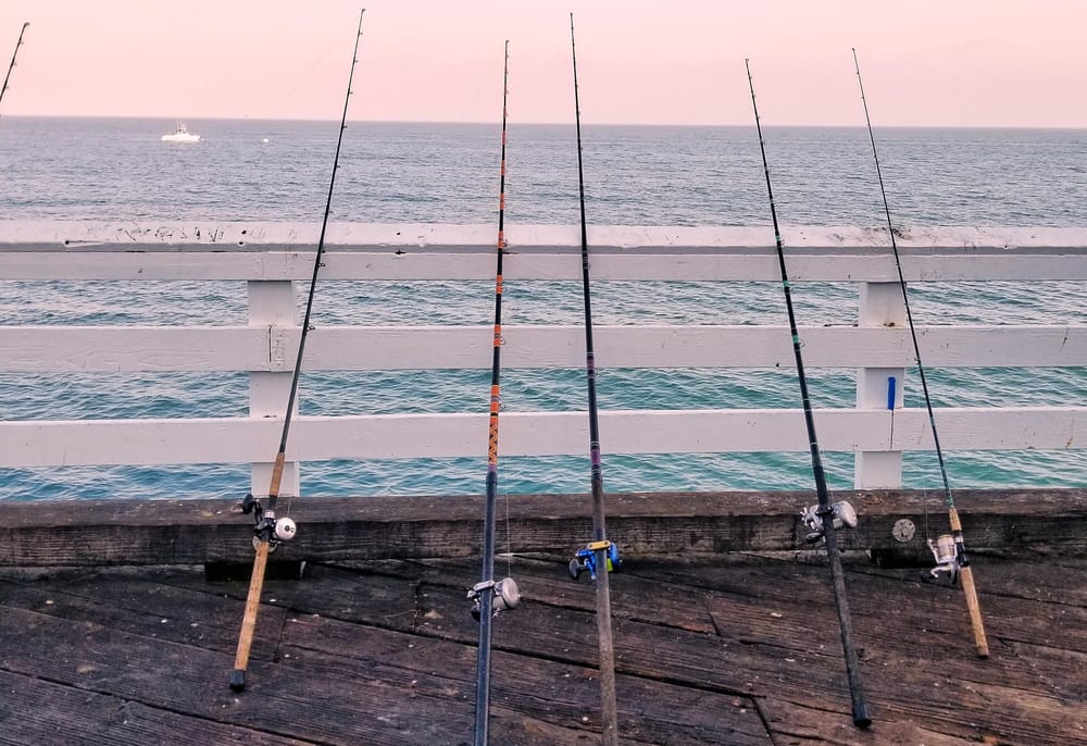 Around the Bay with Jim’s Bait & Tackle post image