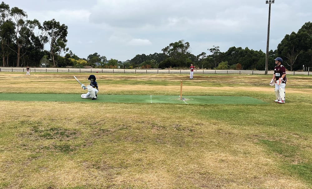 Strong show by Sharks post image