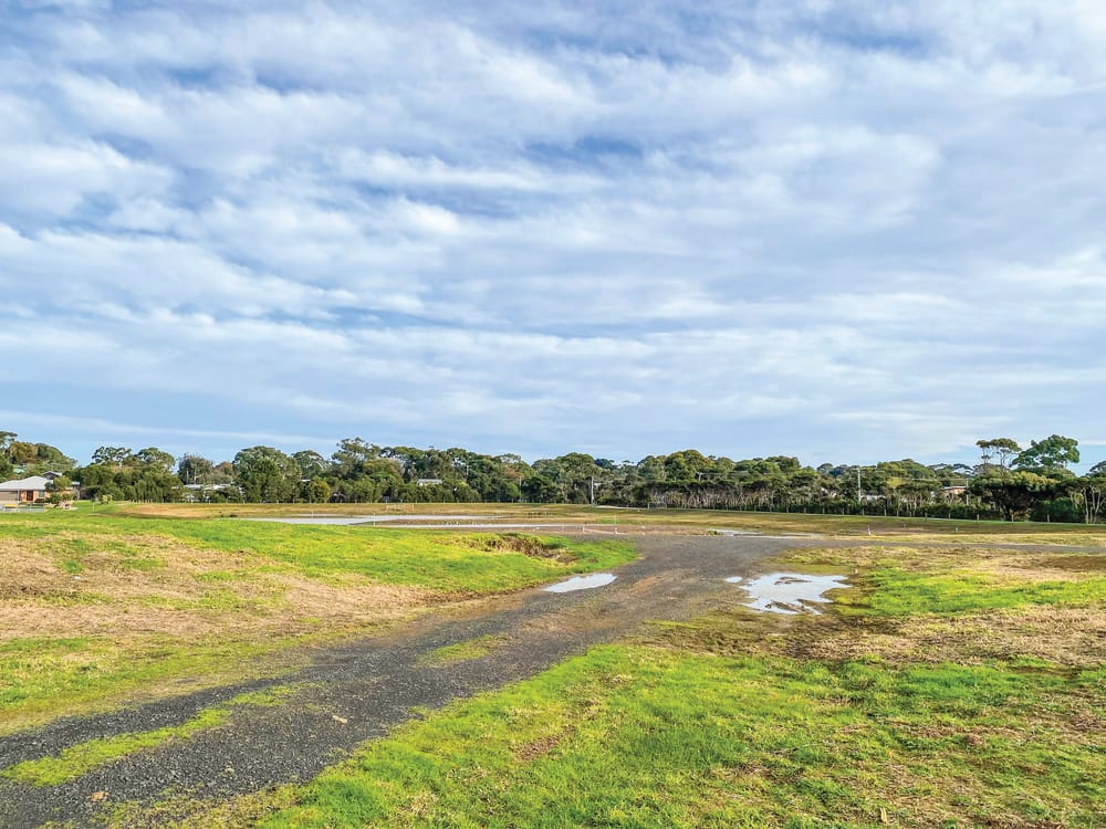 A new promise for wetlands post image