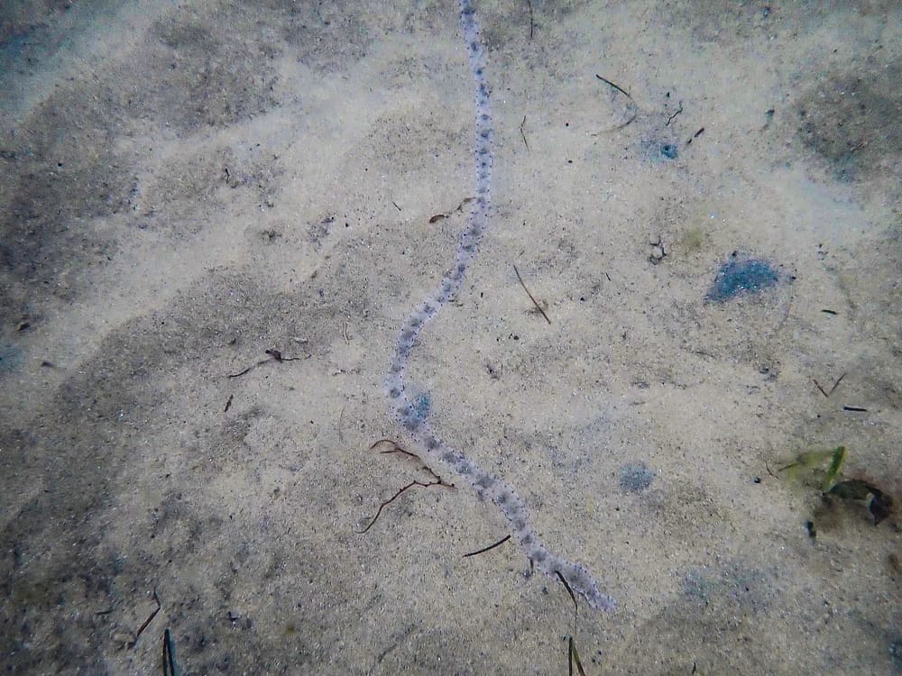 A worm’s-eye view post image