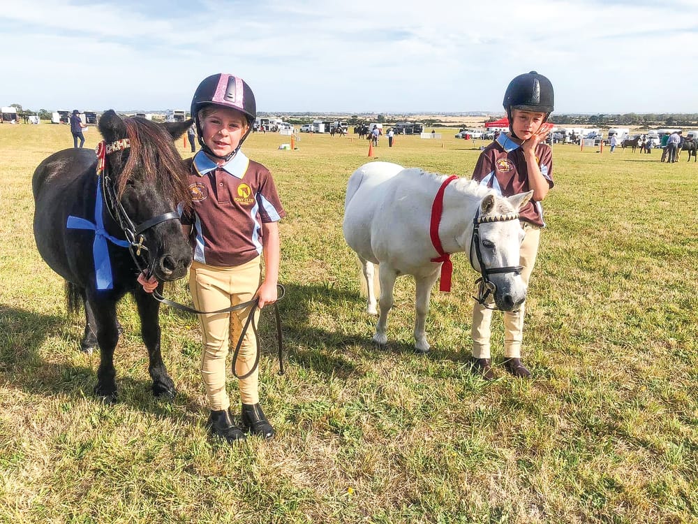 Pony club news post image