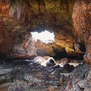 Forrest Caves post image
