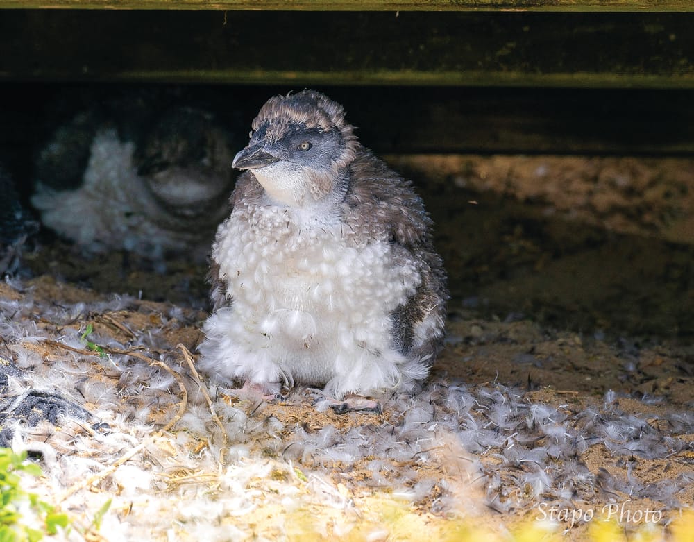 Snapped out post image